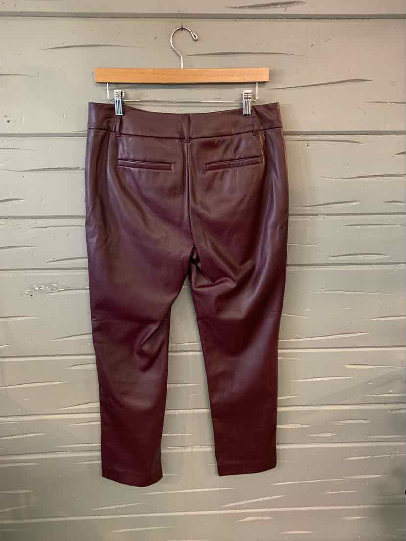 W ANN TAYLOR BURG Size 4 P