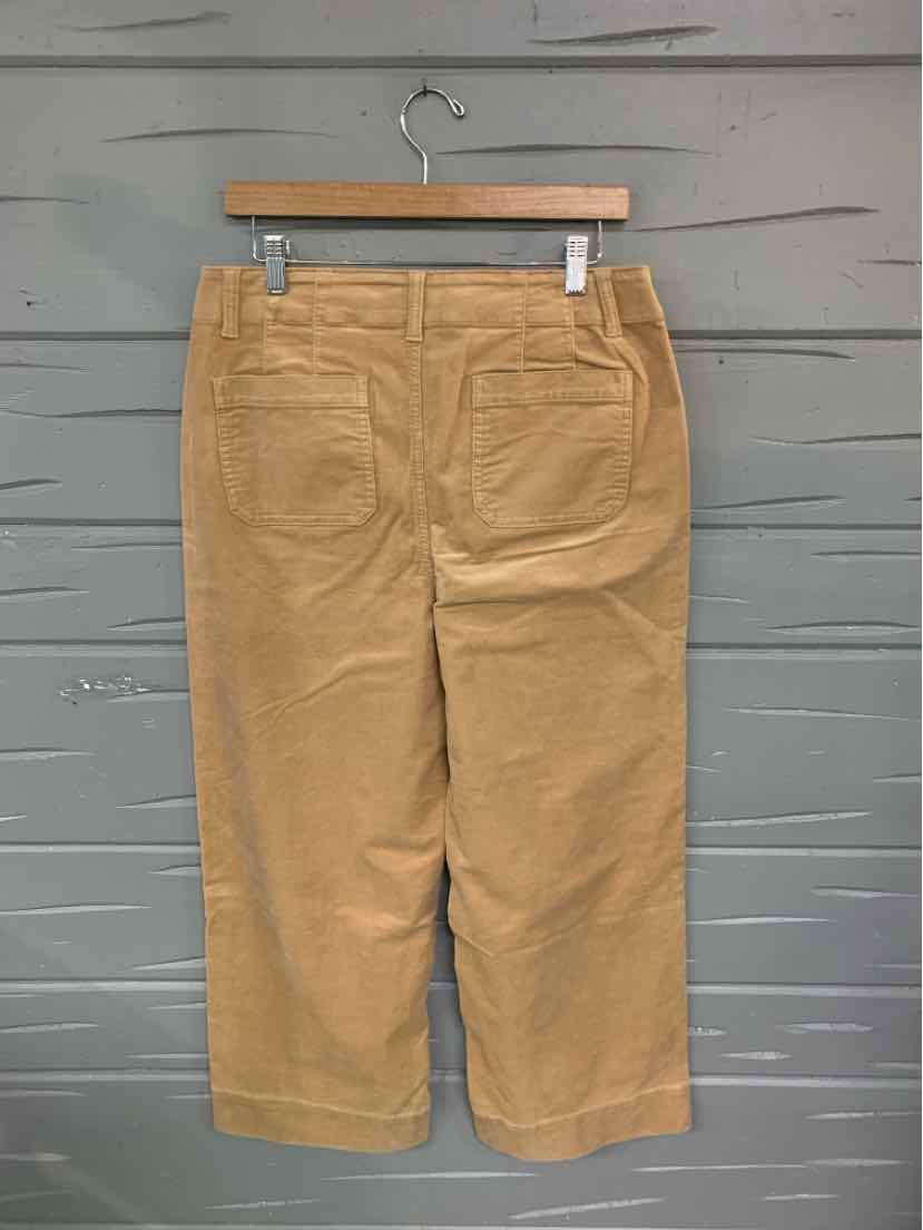 W TALBOTS TAN Size 10P P