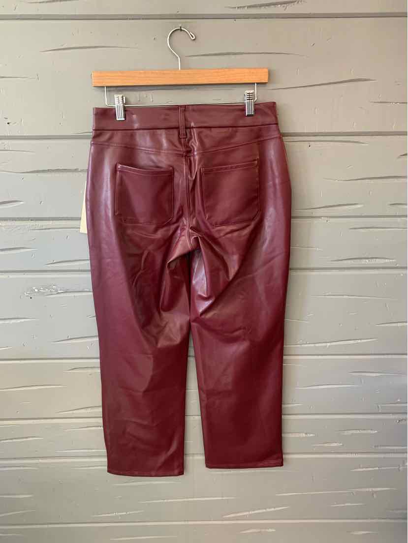 W NYDJ BURG Size 2 P