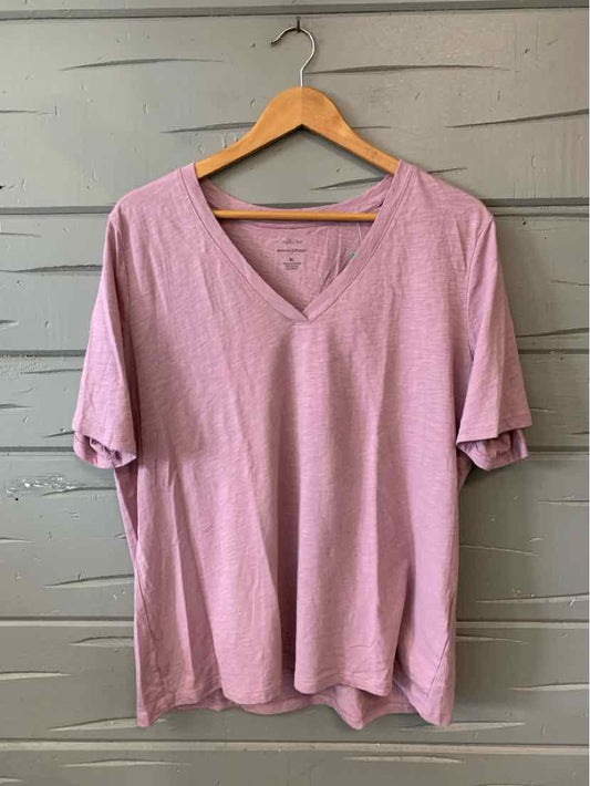 Mauve Banana Republic V-neck short sleeve T-shirt in size XL on wooden hanger.
