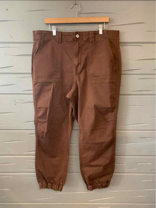Brown high-waist plus-size pants with elastic cuffs and front patch pockets.