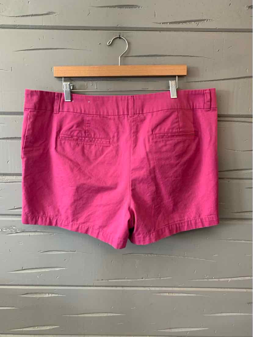 Bright pink cotton women's shorts with two back flap pockets and belt loops.