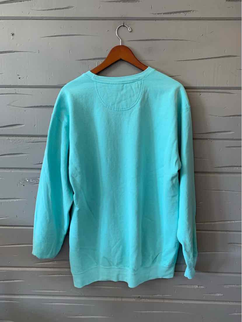 Long-sleeve solid teal sweatshirt in soft fabric, shown from the back on a wooden hanger.
