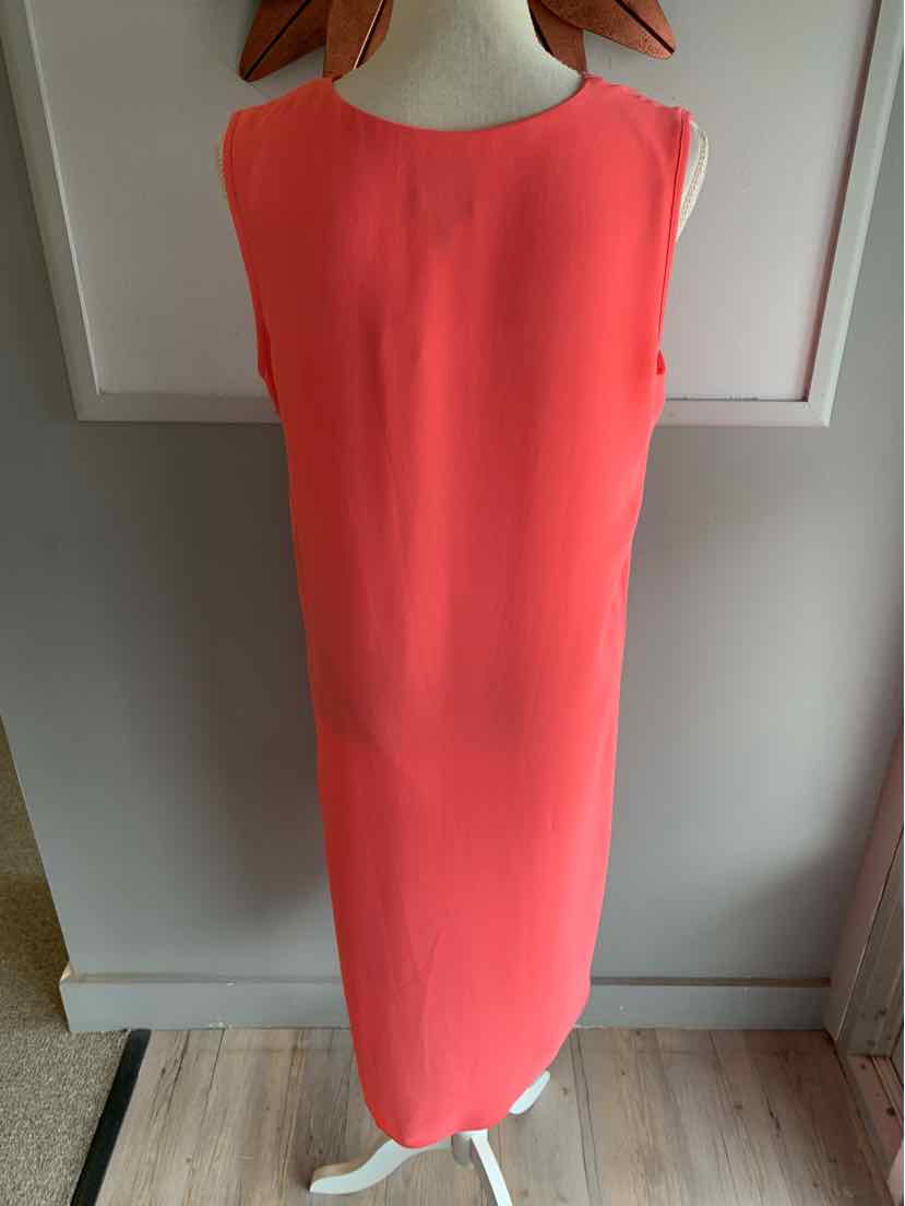 W ADRIANNA PAPELL CL Size 10 DR