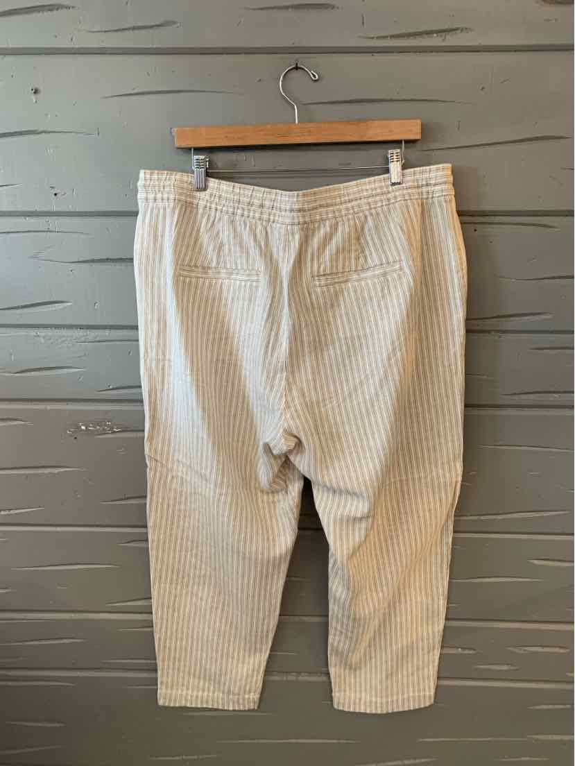 Tan and white vertical striped pants with elastic waistband, size XL, hanging on wooden hanger against gray wall.