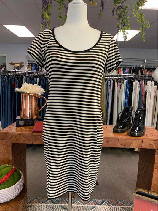 W H&M BK Size MED DR