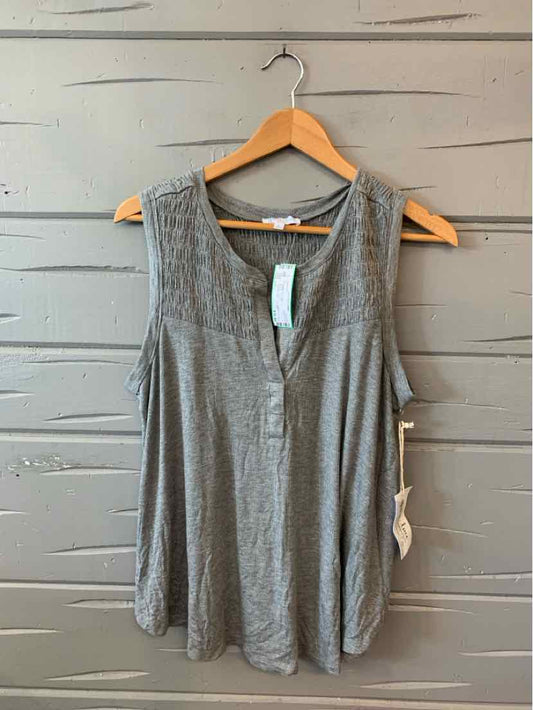 Gray sleeveless lace-trimmed top with V-neck and flowy fit on wooden hanger.