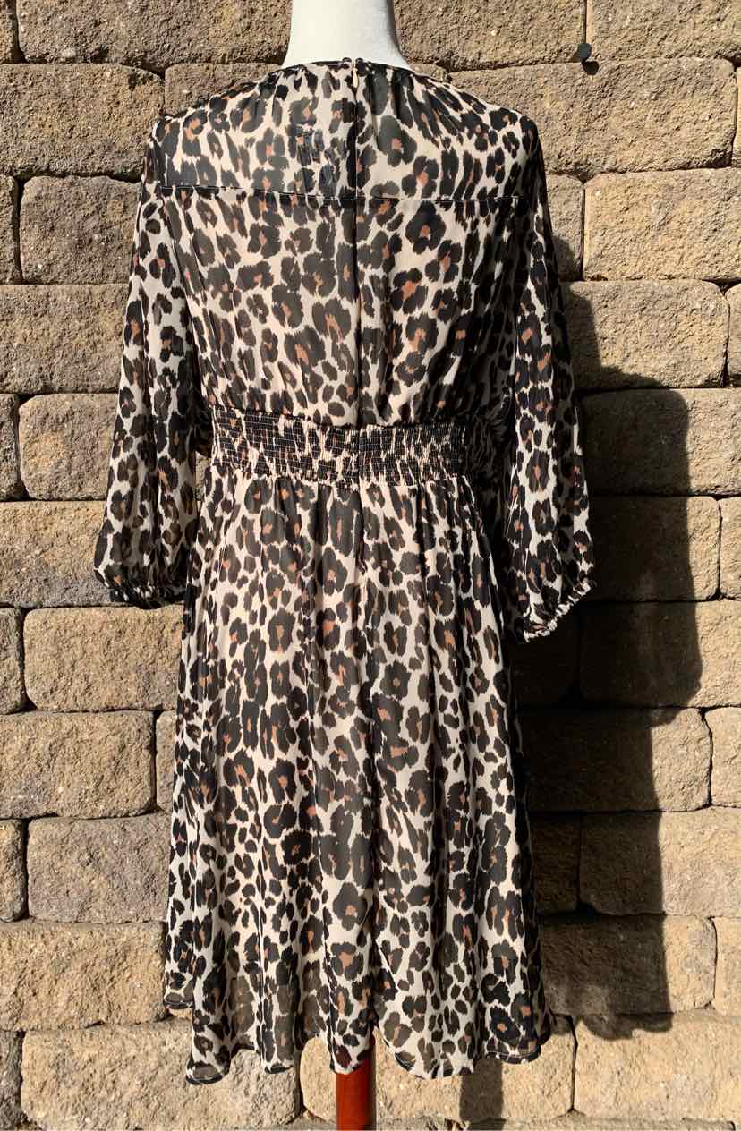 W LANE BRYANT BR Size 14P DR