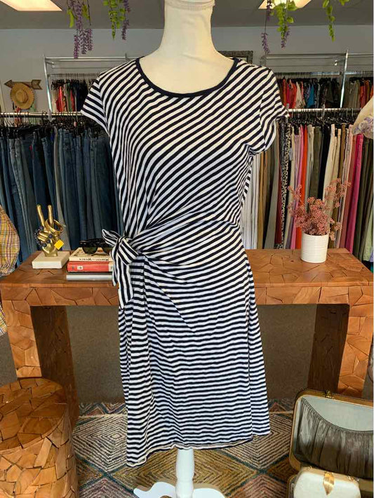 W TALBOTS NY Size LG DR