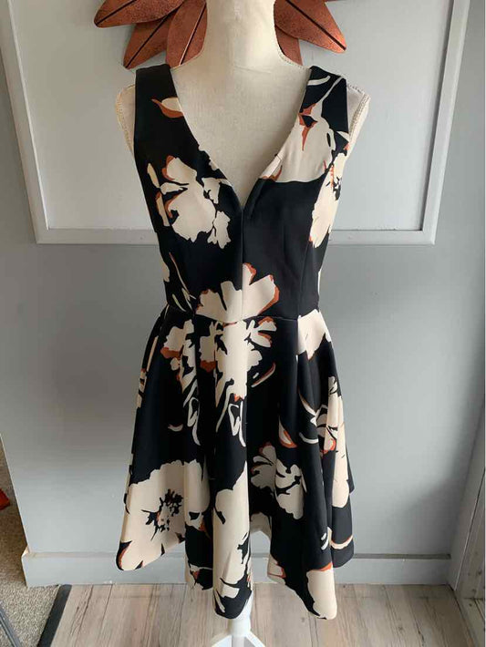 W MAEVE NY Size 10 DR