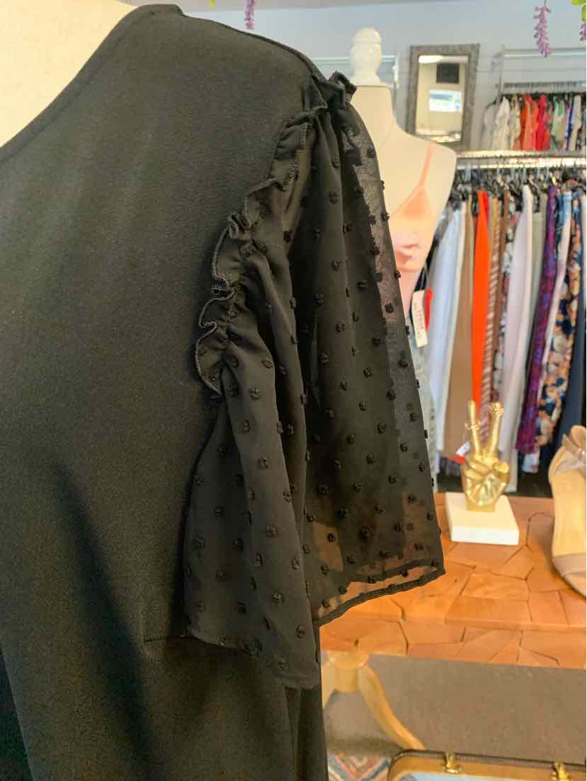 W ADRIANNA PAPELL BK Size 1X T