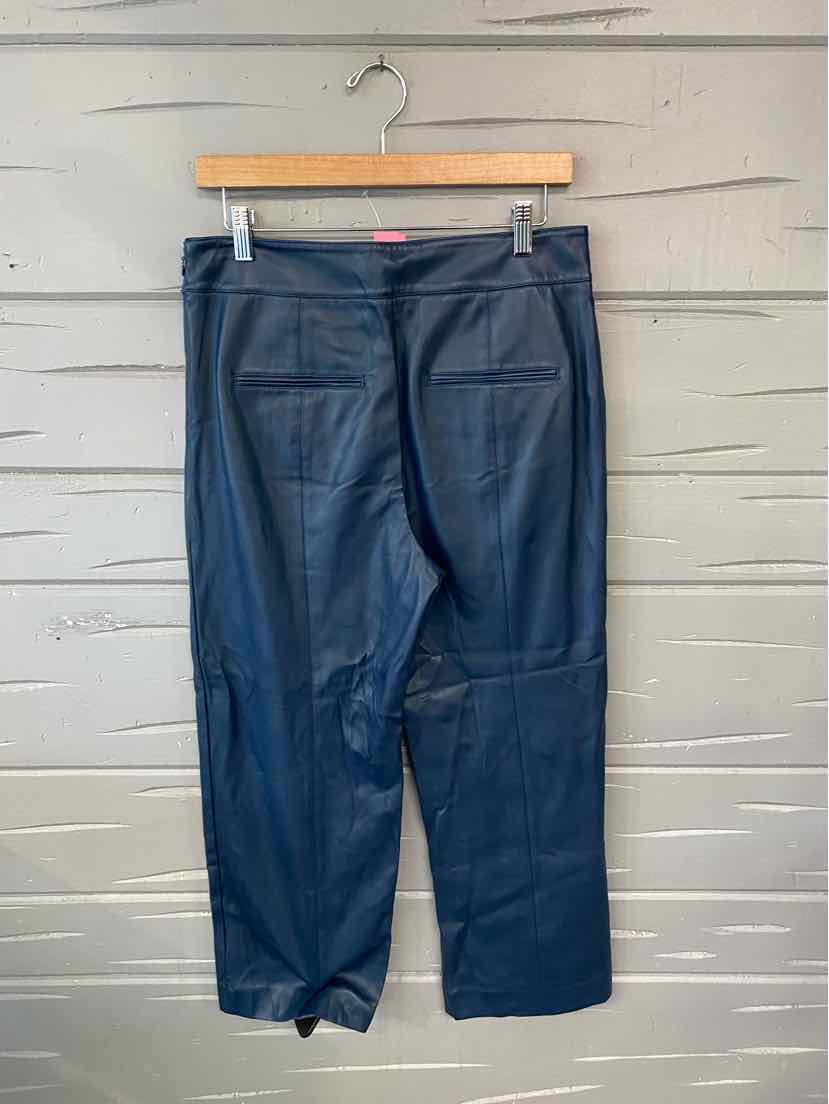 W ANN TAYLOR BL Size 6 P