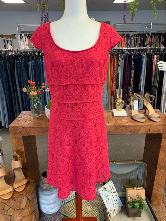 W ANN TAYLOR PK Size 8 DR