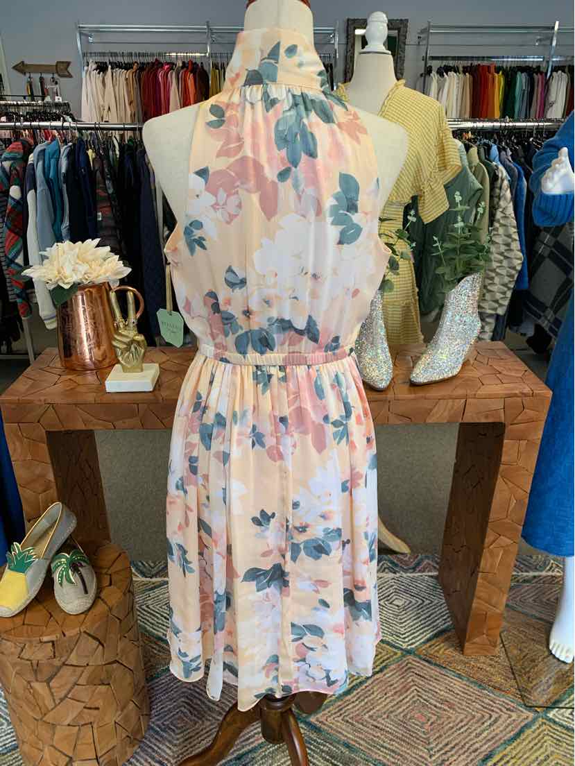 W RYEGRASS PCH Size SM DR