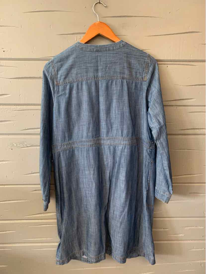 Light blue denim long-sleeve dress with a straight silhouette and seam details on the back.