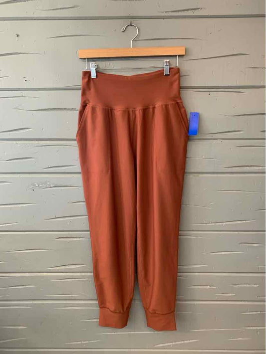 Rust-colored women’s pants with a wide waistband and tapered legs, hanging on a wooden clip hanger.