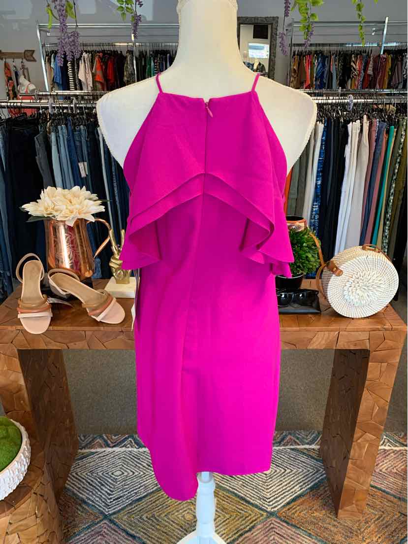 W NICOLE MILLER PK Size 6 DR
