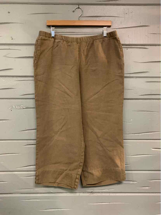 W JJILL BR Size MEDP P