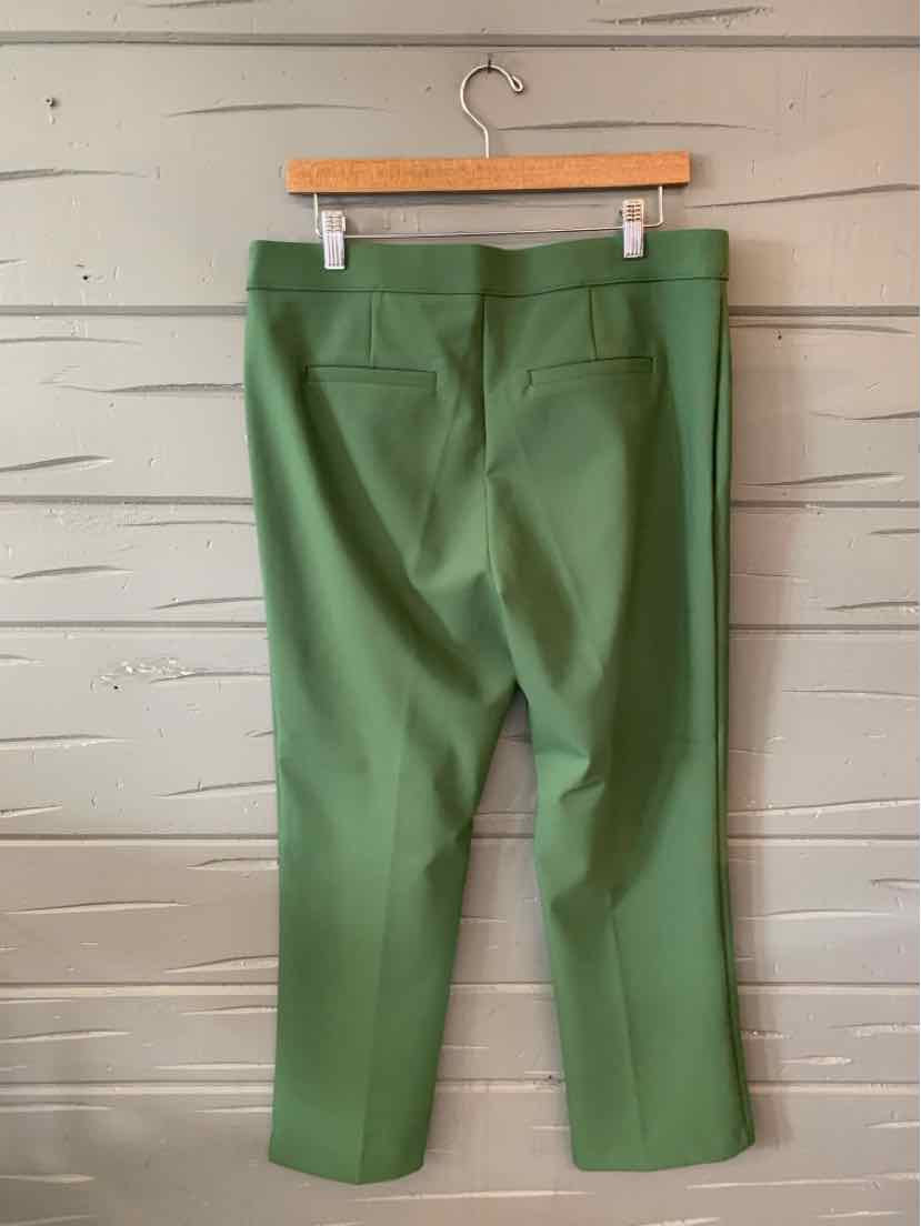 Green tailored pants with back welt pockets and straight legs hanging on wooden hanger.