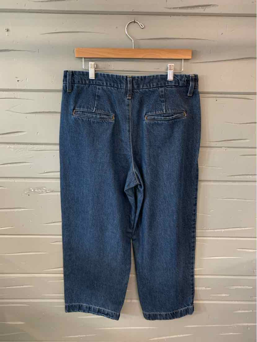 W BANANA REPUBLIC BL Size 12 J