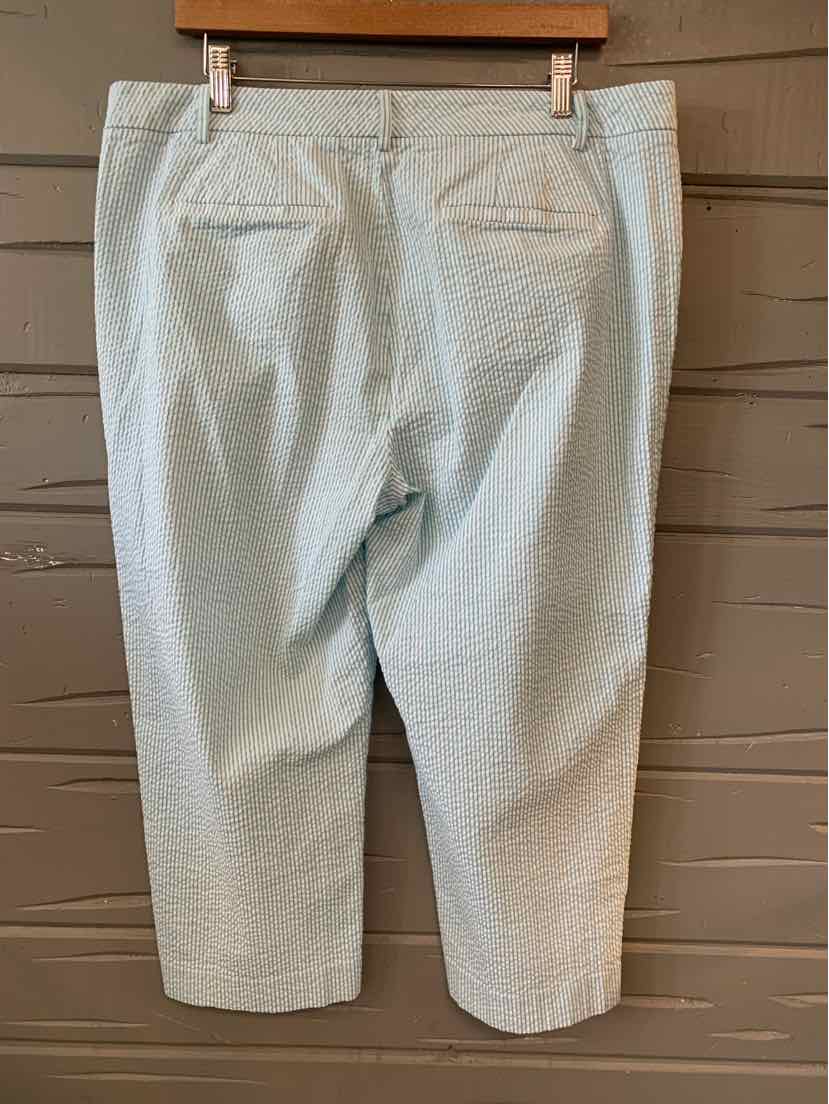 W TALBOTS AQUA Size 14 P