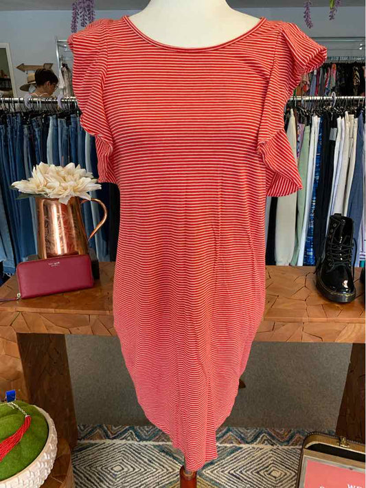 W J CREW RD Size SM DR