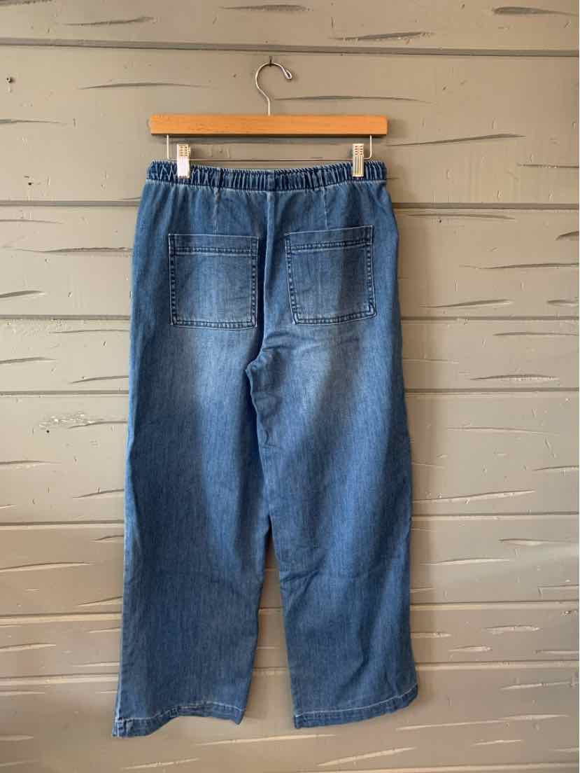 Blue denim wide-leg pants with elastic waistband and back patch pockets, size 4.