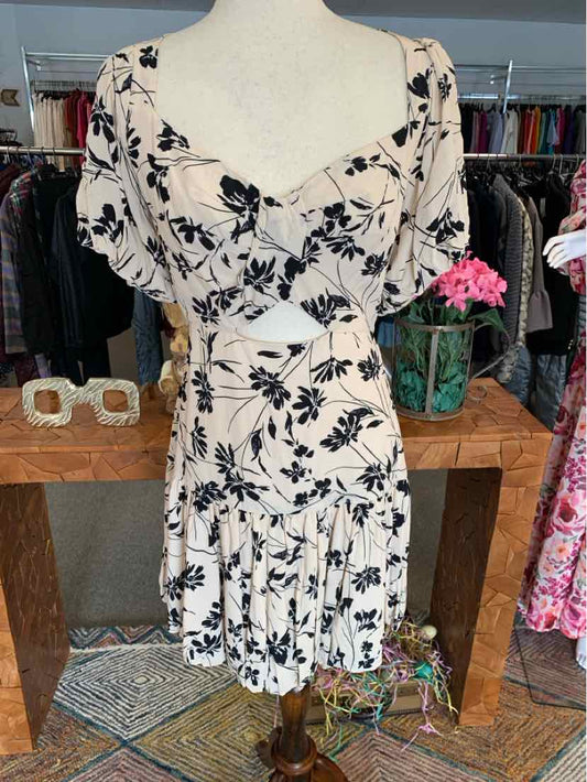 W ASTR CR Size LG DR