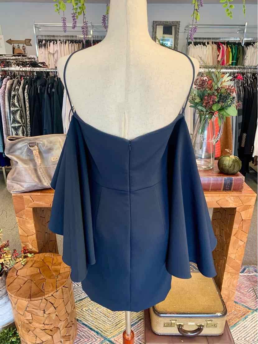 W MILLY NY Size 4 DR