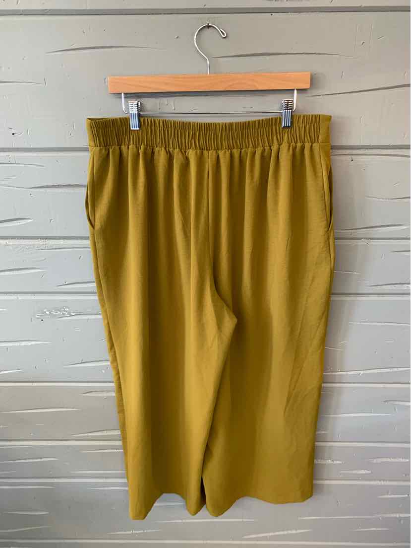 W NINE WEST GR Size XL P