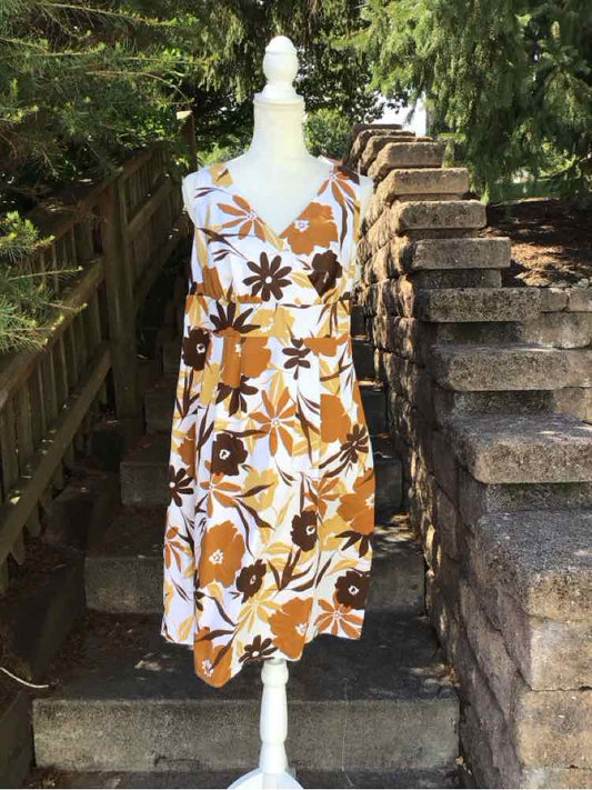 W LANE BRYANT BR Size XL DR