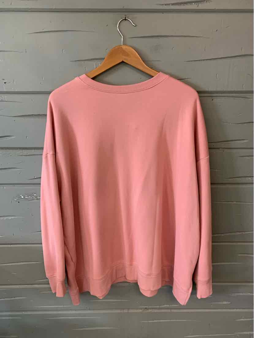 Soft pink long-sleeve crewneck sweatshirt in size 2X with relaxed fit hanging on wooden hanger.