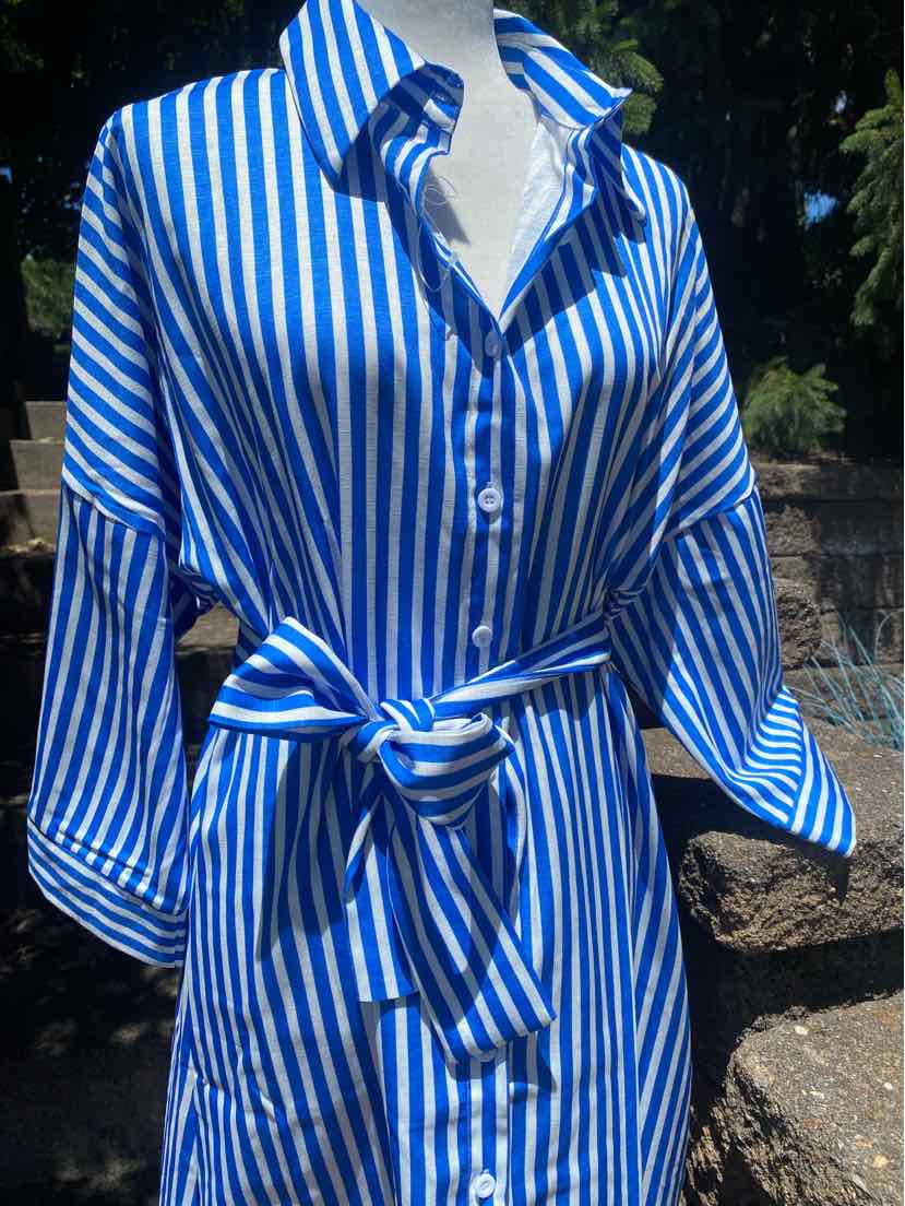 Blue and white vertical striped button-up dress with long sleeves and a front tie waist.