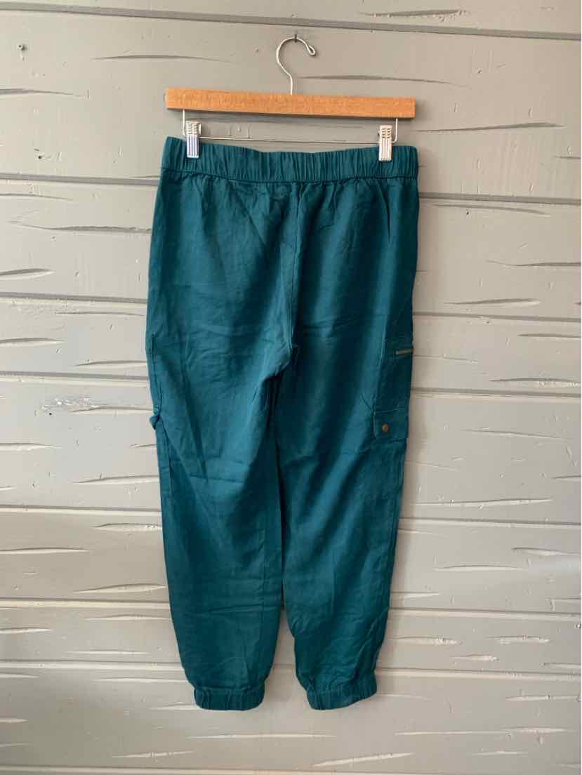 Teal tapered pants with elastic waistband and cuffs, lightweight fabric, casual style.