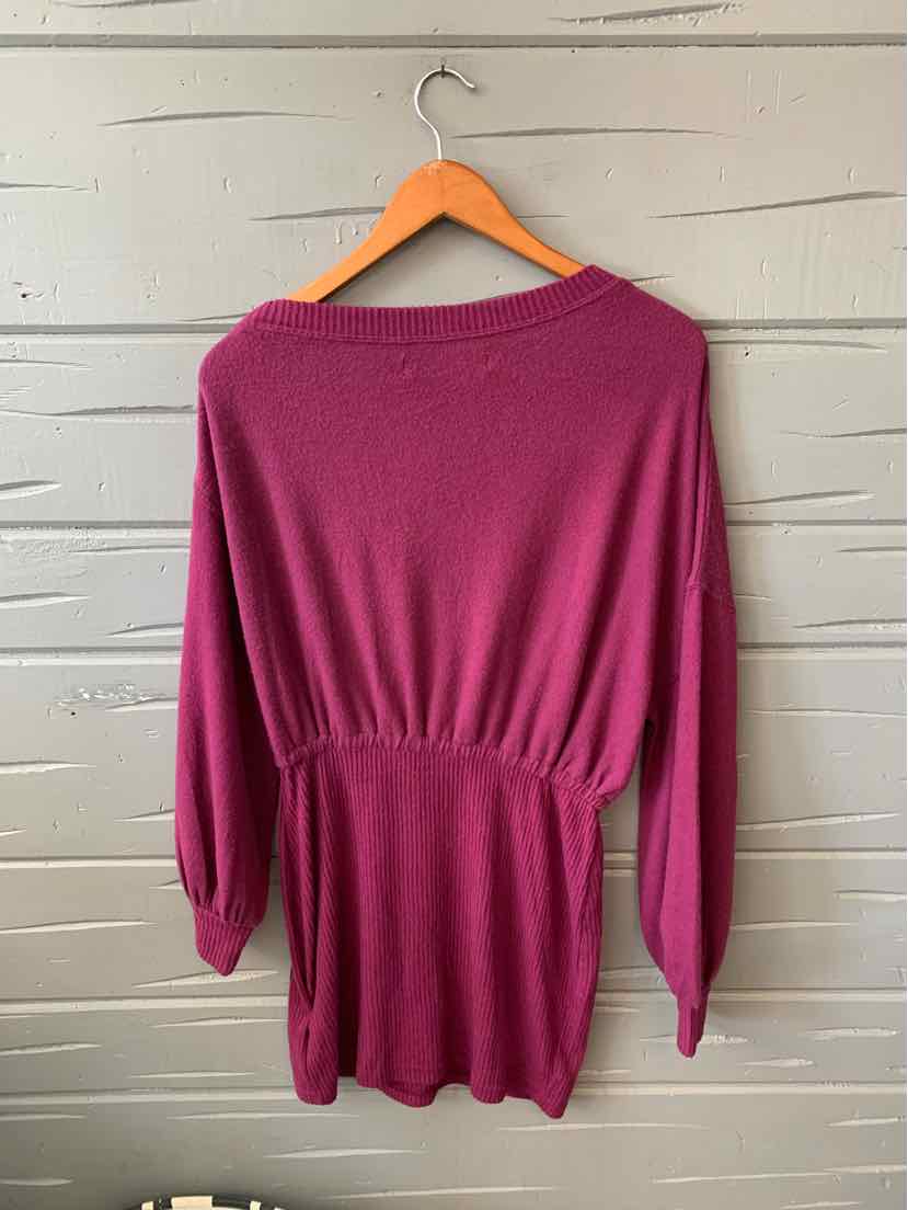 Plum long-sleeve dress with cinched waist and relaxed boat neckline on wooden hanger.