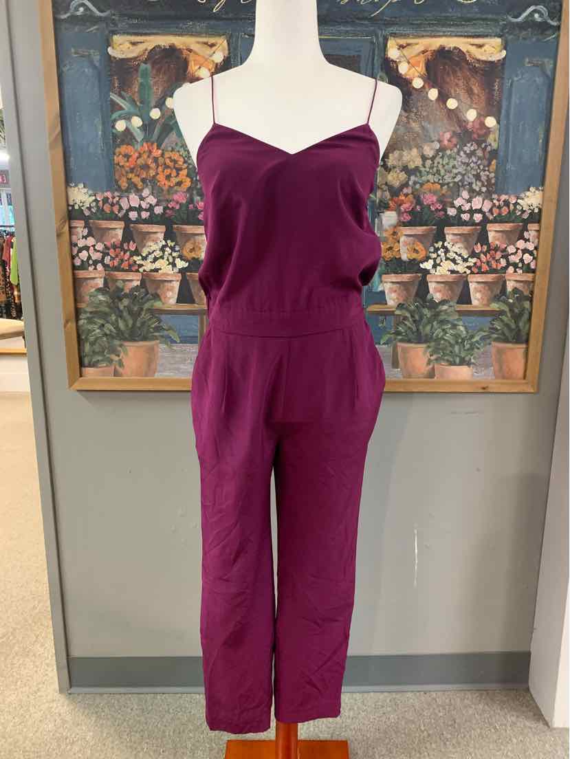 W JCREW PL Size 2P JS