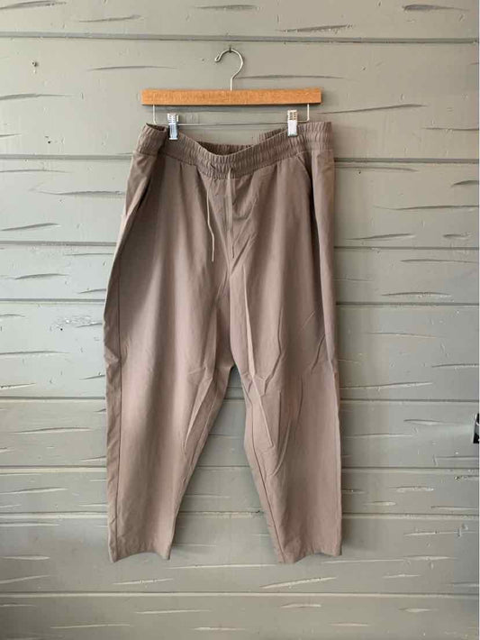 Beige high-waist pants with pleats and tapered legs hanging on wooden hanger against rustic wall.