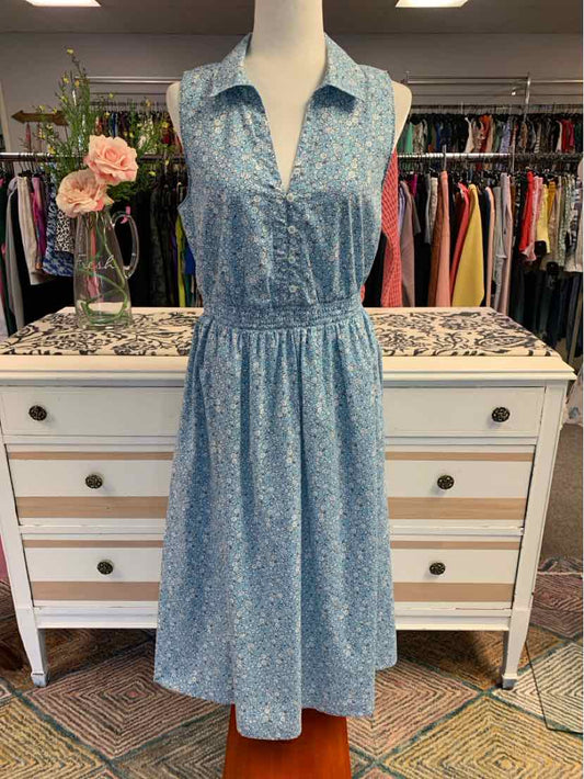 Sleeveless blue floral dress with collared neckline and gathered waist, knee-length silhouette.