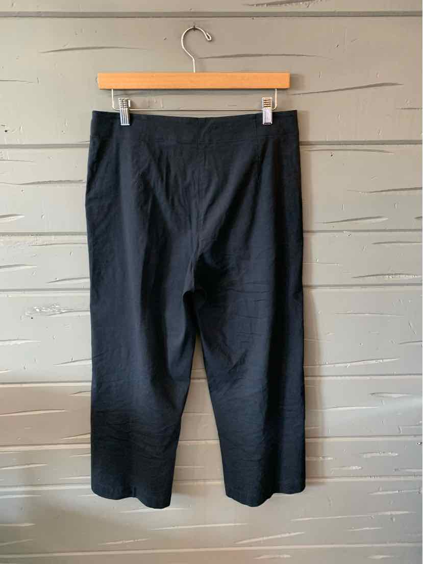 Black cropped pants with a straight-leg cut, flat front, and mid-rise waist hanging on a wooden hanger.