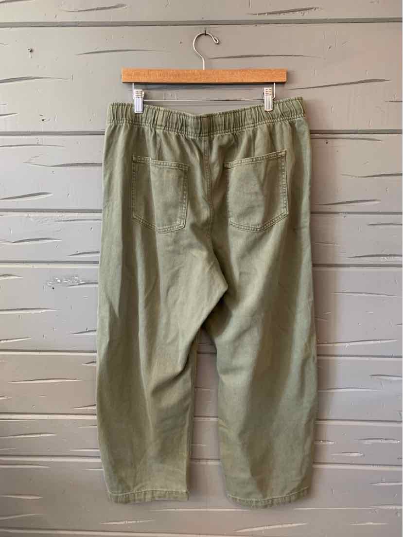 Olive green casual pants with elastic waistband and back pocket hanging on wooden hanger.