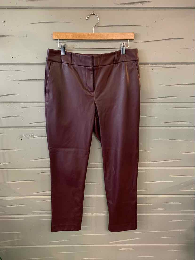 W ANN TAYLOR BURG Size 4 P