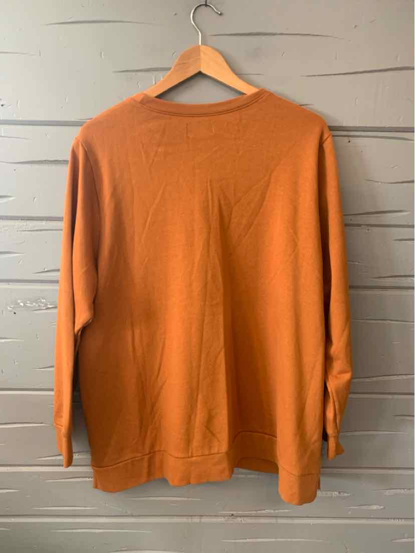 Rust-orange long-sleeve knit sweater with crew neckline, relaxed fit, size 18/20.