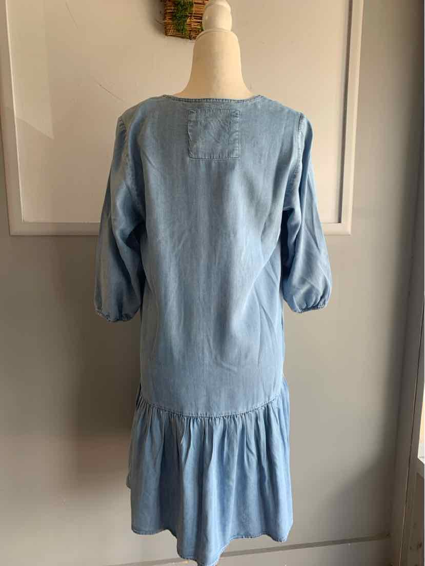 Light blue denim dress with three-quarter puff sleeves and ruffled hem, back button details.