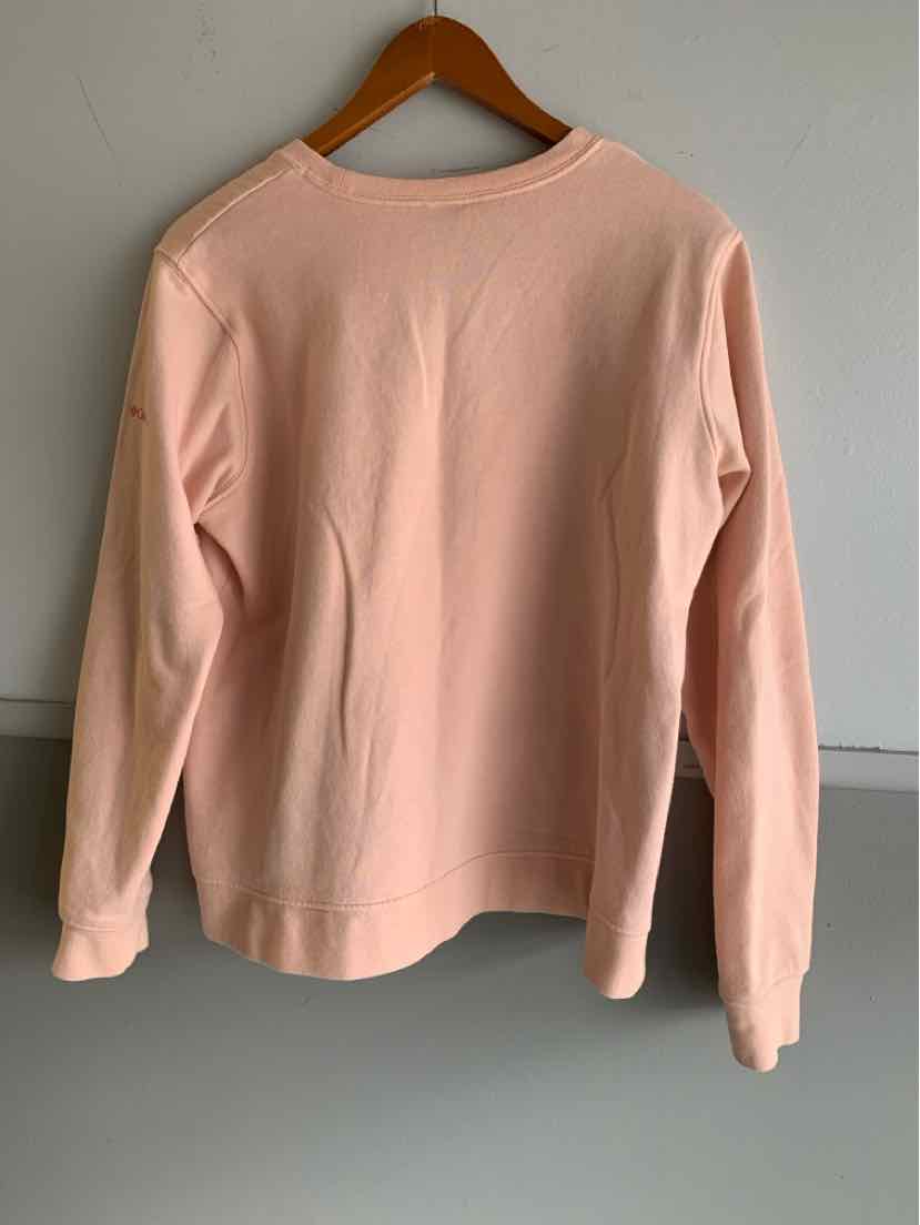 Light pink long-sleeve crewneck shirt with relaxed fit hanging on wooden hanger.