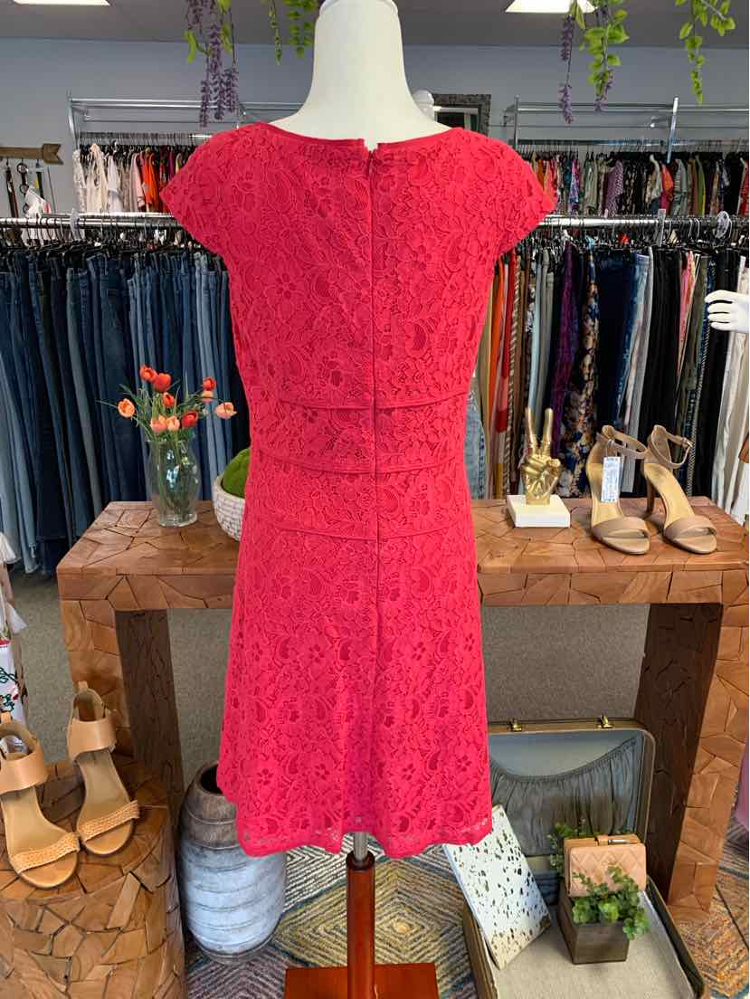 W ANN TAYLOR PK Size 8 DR