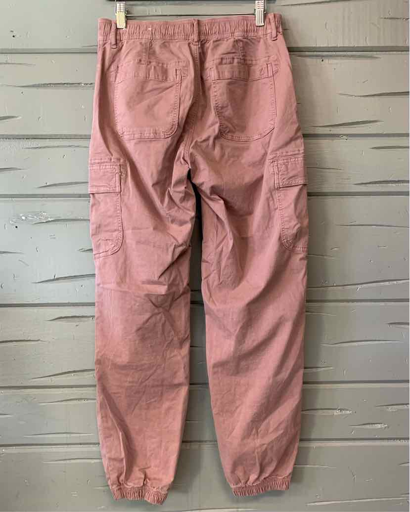 W AMERICAN EAGLE MAUVE Size 0 P