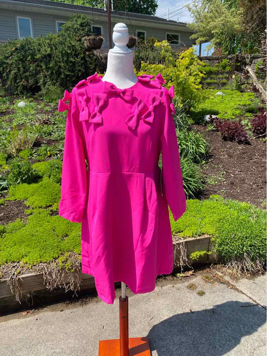 Bright pink long-sleeve dress with ruffle details on the chest and shoulder area, fitted waist, and a slightly flared skirt.