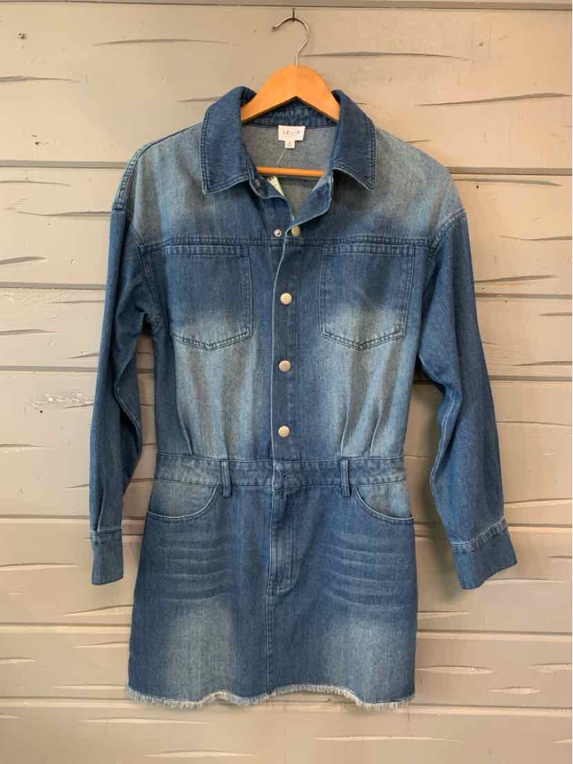 Blue denim long-sleeve dress with button front and collar, fitted waist, above-knee length, frayed hem.
