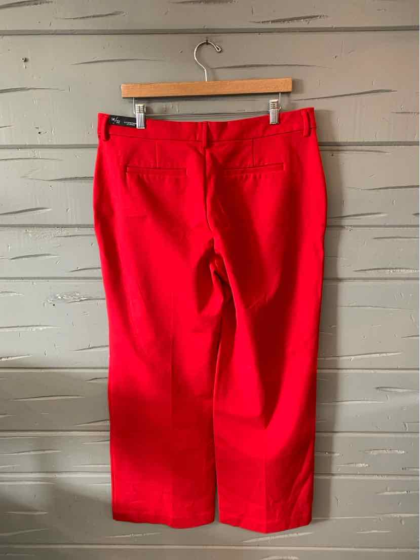 Bright red pants with a straight leg cut and back welt pockets hanging on wooden hanger against gray wooden wall.