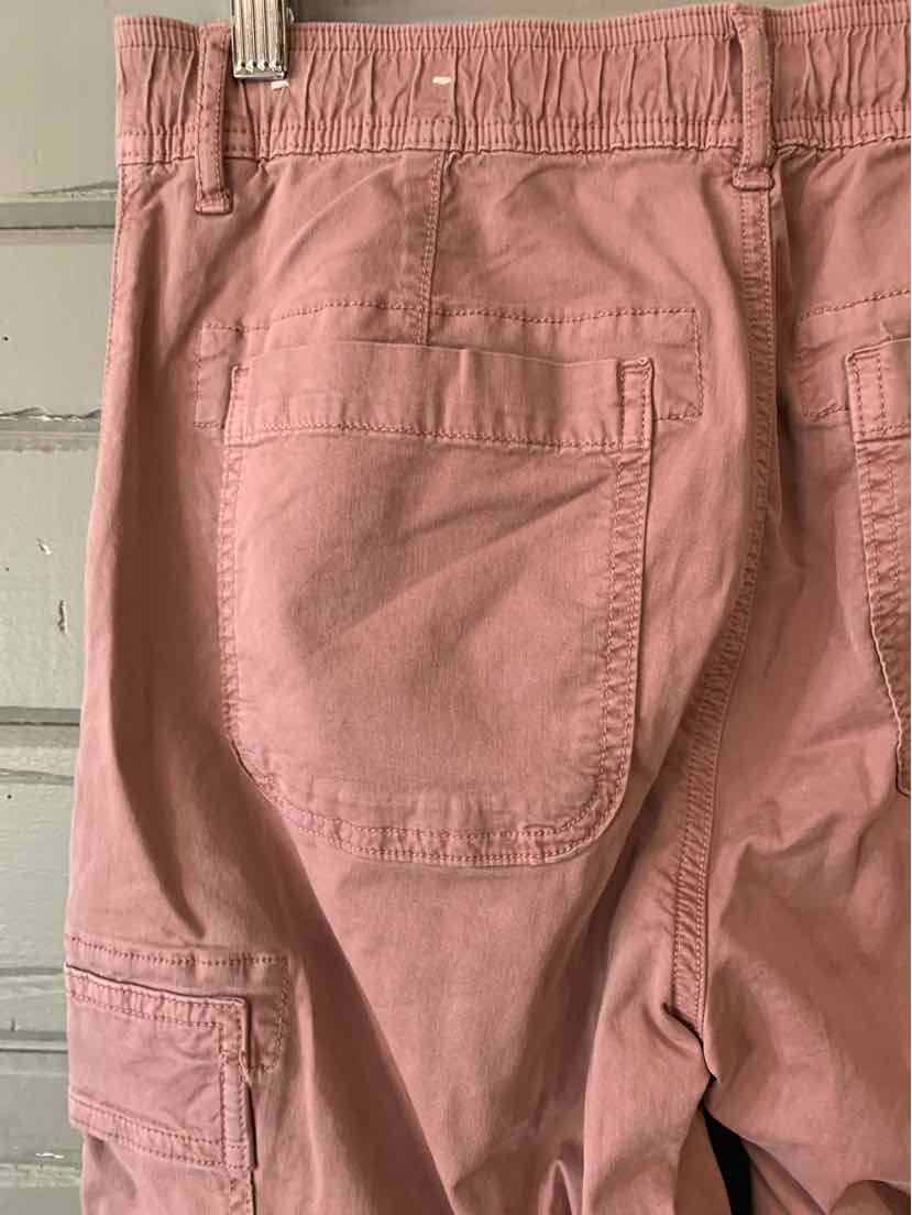 W AMERICAN EAGLE MAUVE Size 0 P
